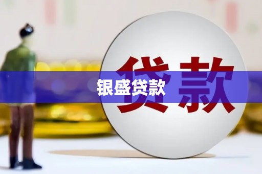 安化银盛贷款