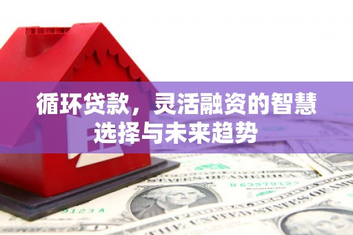 安化循环贷款，灵活融资的智慧选择与未来趋势