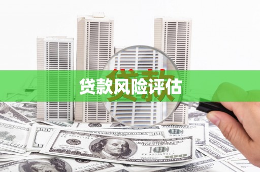 安化贷款风险评估