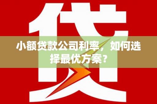 安化小额贷款公司利率，如何选择最优方案？