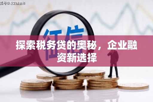 安化探索税务贷的奥秘，企业融资新选择