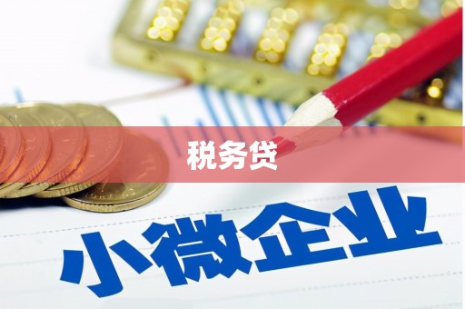 安化税务贷