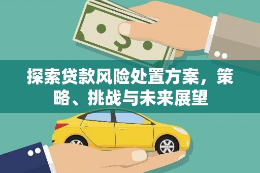 安化探索贷款风险处置方案，策略、挑战与未来展望