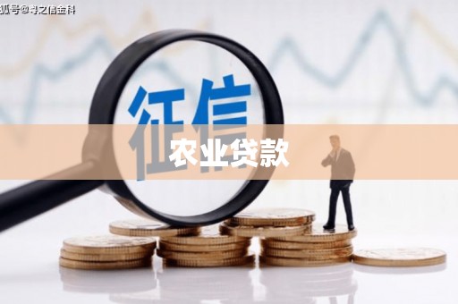 安化农业贷款