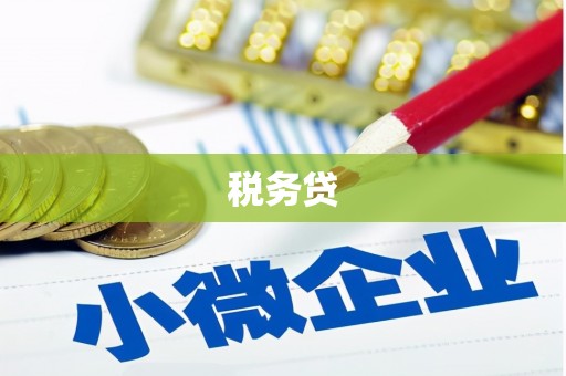 安化税务贷