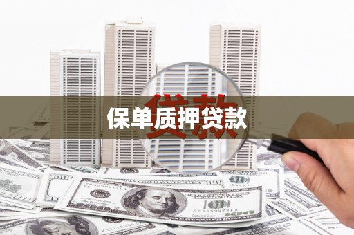 安化保单质押贷款
