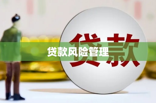 安化贷款风险管理
