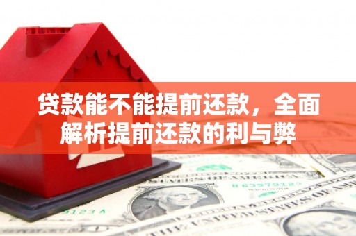 安化贷款能不能提前还款，全面解析提前还款的利与弊