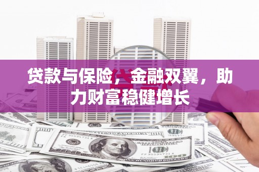 安化贷款与保险，金融双翼，助力财富稳健增长
