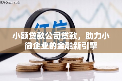 安化小额贷款公司贷款，助力小微企业的金融新引擎