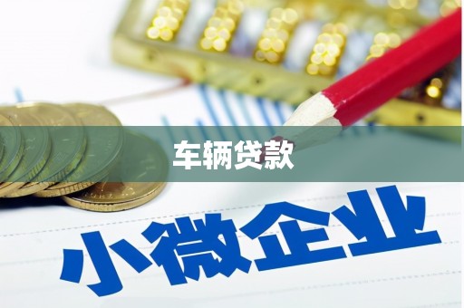 安化车辆贷款