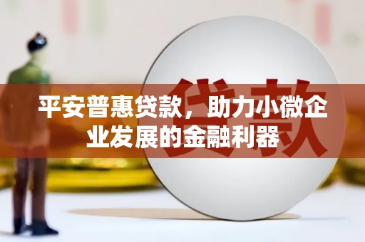 安化平安普惠贷款，助力小微企业发展的金融利器