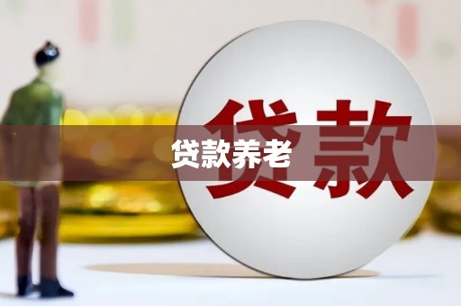 安化贷款养老
