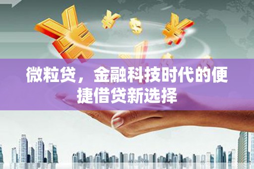安化微粒贷，金融科技时代的便捷借贷新选择