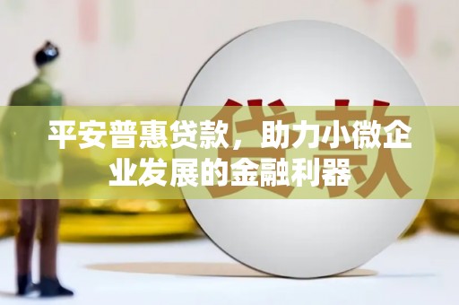 安化平安普惠贷款，助力小微企业发展的金融利器