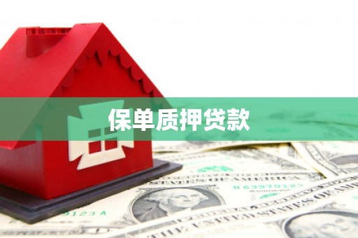 安化保单质押贷款