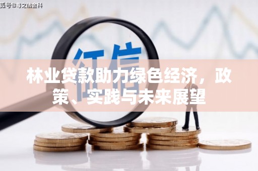 安化林业贷款助力绿色经济，政策、实践与未来展望