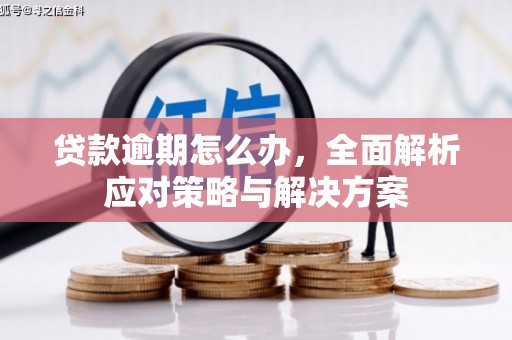 安化贷款逾期怎么办，全面解析应对策略与解决方案