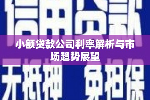 安化小额贷款公司利率解析与市场趋势展望