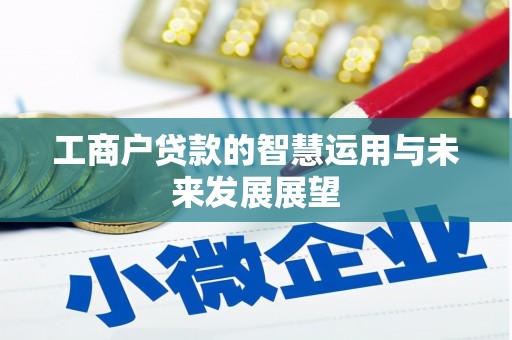 安化工商户贷款的智慧运用与未来发展展望