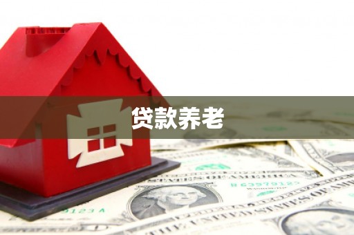 安化贷款养老