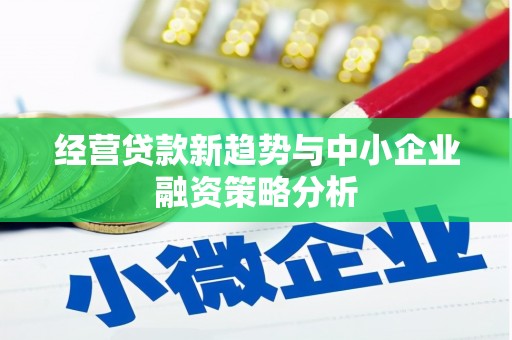 安化经营贷款新趋势与中小企业融资策略分析