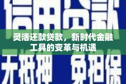 安化灵活还款贷款，新时代金融工具的变革与机遇