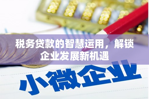安化税务贷款的智慧运用，解锁企业发展新机遇