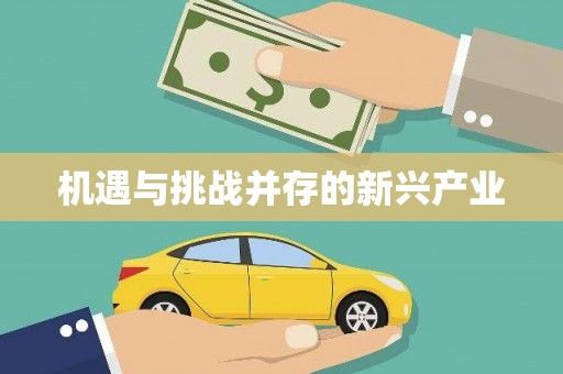 安化机遇与挑战并存的新兴产业