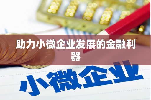 安化助力小微企业发展的金融利器