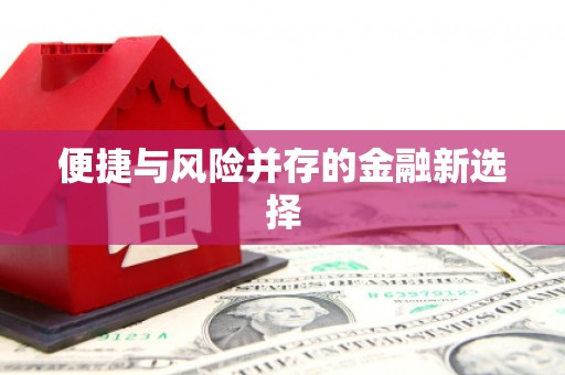 安化便捷与风险并存的金融新选择