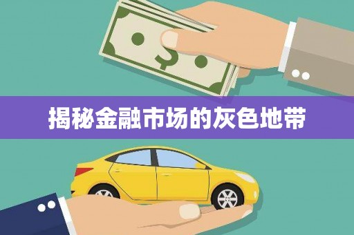 安化揭秘金融市场的灰色地带