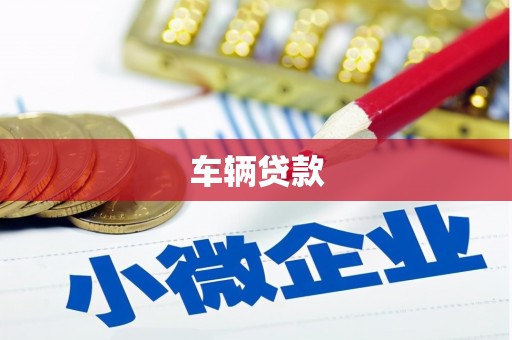 安化车辆贷款